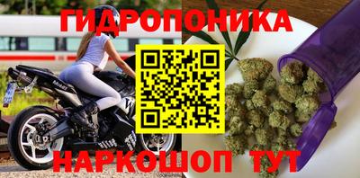 стаф Трёхгорный