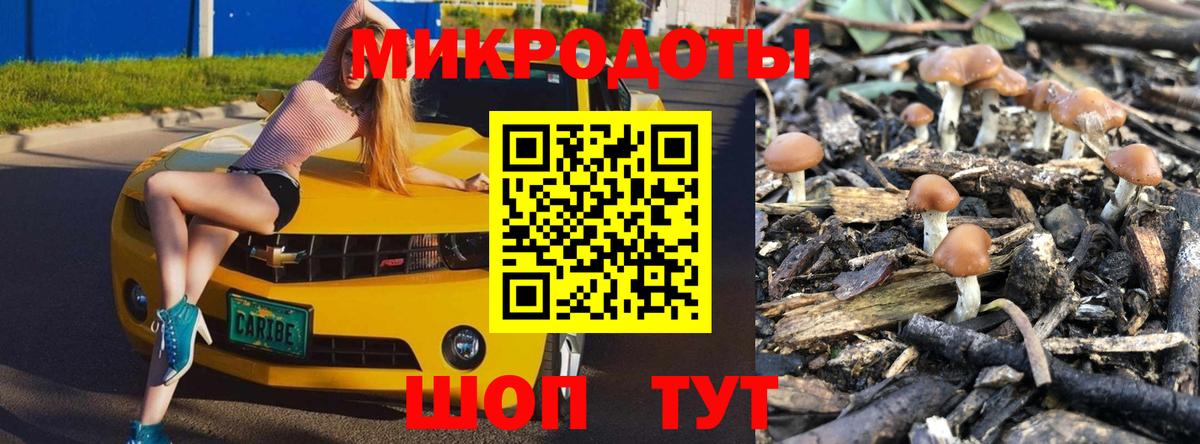 Галлюциногенные грибы мухоморы  Вход с VPN  Выборг 